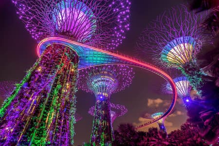 Illuminated Supertrees in Gardens by the Bay at night, Singapore