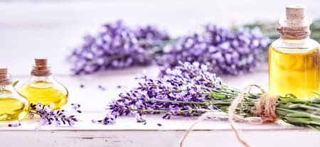 Panorama banner of fresh lavender flowers tied in bunches and essential oils in decorative flacons on a white wood background with copy space and shallow dof for advertising