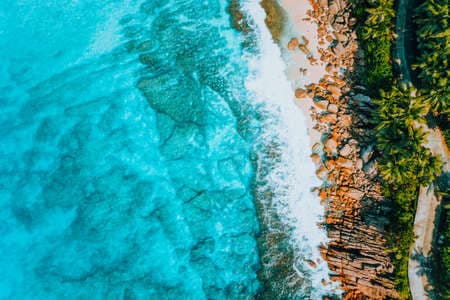Aerial bird eye shot of tropical coastline with tropical rocky beach and palm trees at Seychelles. Summer vacation, travel and lifestyle concept