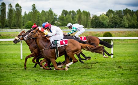 Race horses with jockeys on the home straight
