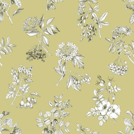 Seamless pattern with medicinal shrubs